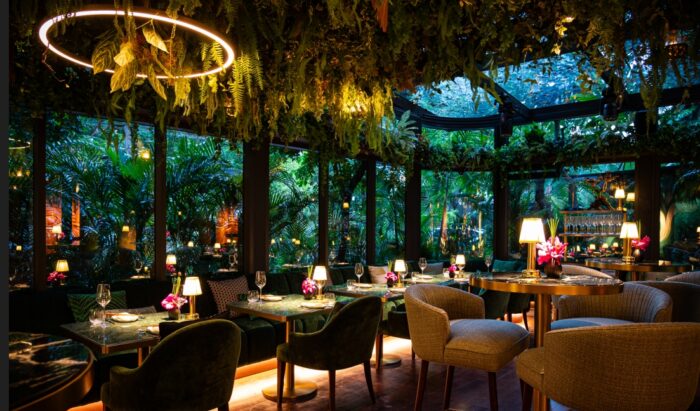 COBA Restaurant Opens in Bangkok, Redefining Experiential Dining - TRAVELINDEX